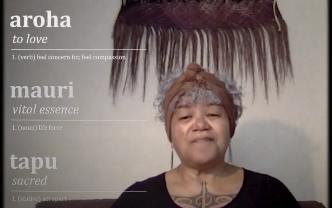 Prophetic Indigenous Voices on the Planetary Crisis – Update