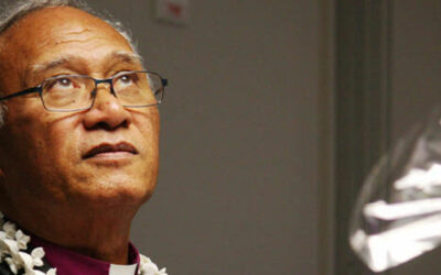 Anglican archbishops join call for stronger action on climate change