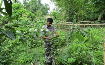 Church of Bangladesh brings hope through climate adaptation projects
