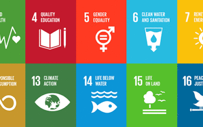 Ending hunger: Way forward on SDG 2