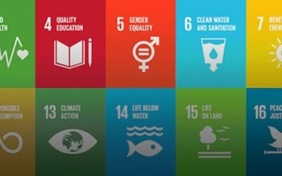 Sustainable Development Goals can only be achieved “in co-operation with the religious faiths”