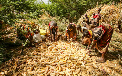 “Waste is not godly” – a view on waste from Africa