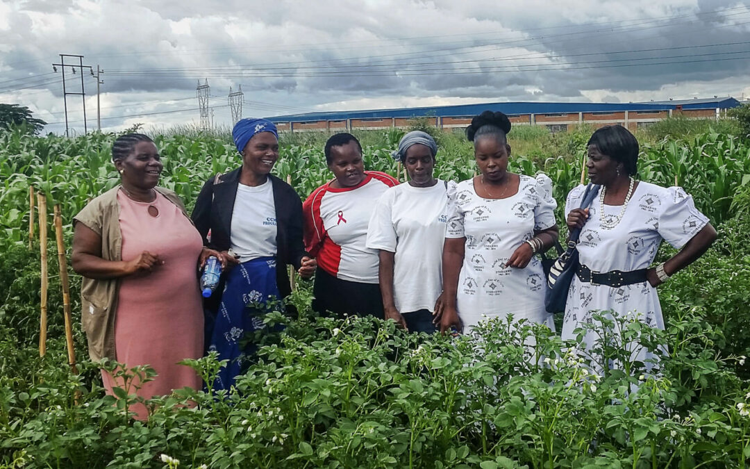 Strengthening communities, strengthening resilience
