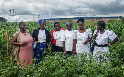 Strengthening communities, strengthening resilience