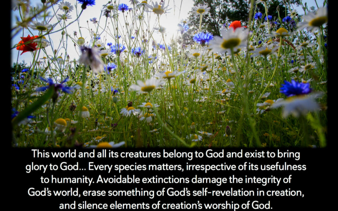 Season of Creation 2019: Protecting the Web of Life