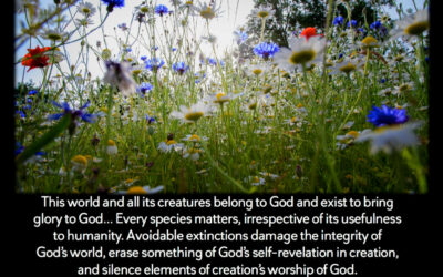 Season of Creation 2019: Protecting the Web of Life