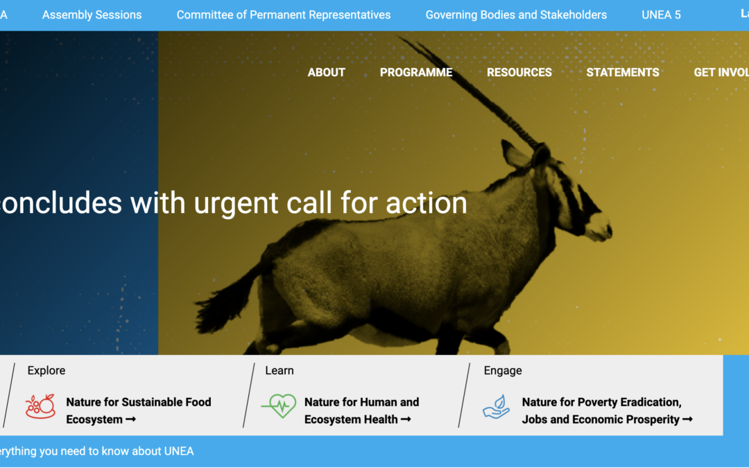 Prophetic Indigenous Voices on the Planetary Crisis heard at the United Nations Environment Assembly