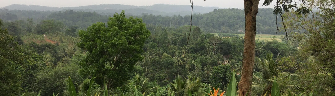 Update on Sri Lanka floods: Diocese of Colombo responds