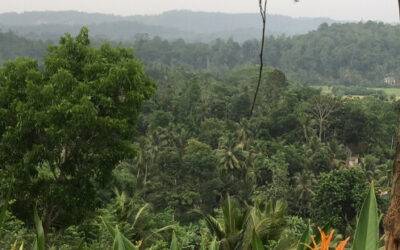 Update on Sri Lanka floods: Diocese of Colombo responds