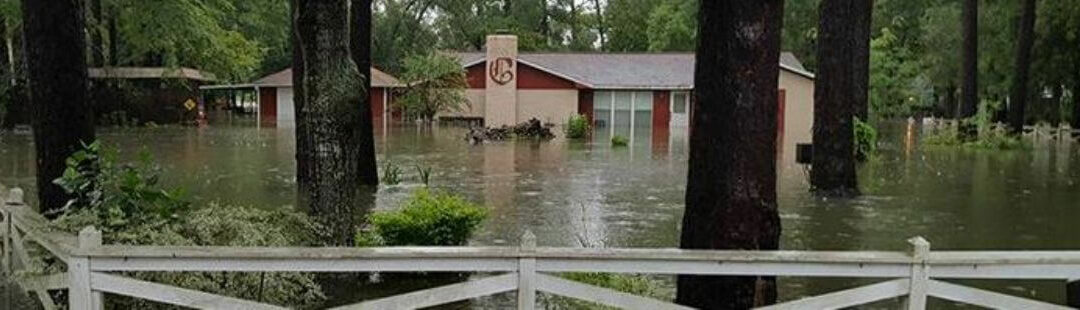Hurricane Harvey: long road to recovery begins