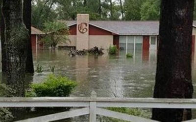 Hurricane Harvey: long road to recovery begins