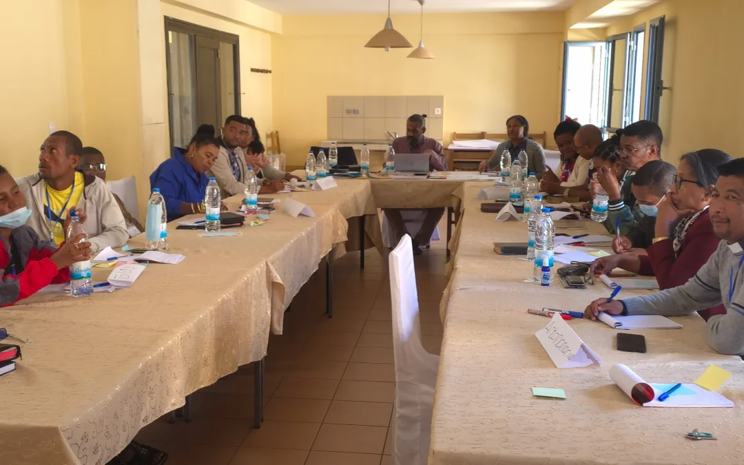 Mentoring in Madagascar: A Partners in Resilience and Response (PiRR) Accompaniment